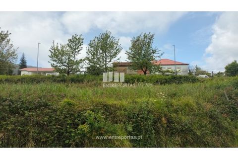 Helårsgrund i Venade e Azevedo, Viana do Castelo, Venade e Azevedo - € 38.000 | Ref: C02782 - foto 2