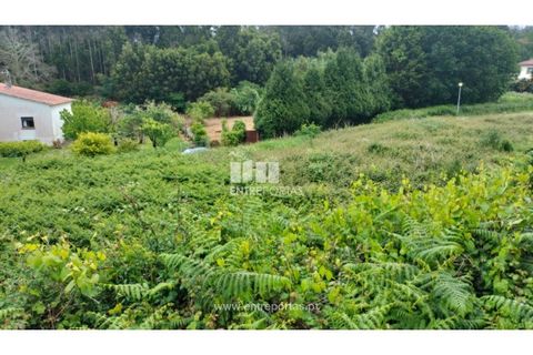 Helårsgrund i Venade e Azevedo, Viana do Castelo, Venade e Azevedo - € 38.000 | Ref: C02782 - foto 4