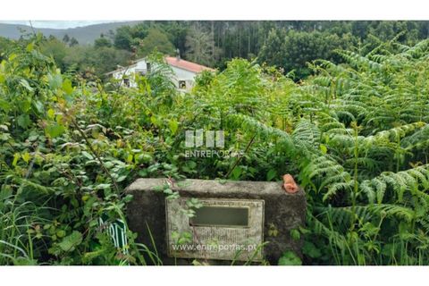 Helårsgrund i Venade e Azevedo, Viana do Castelo, Venade e Azevedo - € 38.000 | Ref: C02782 - foto 5