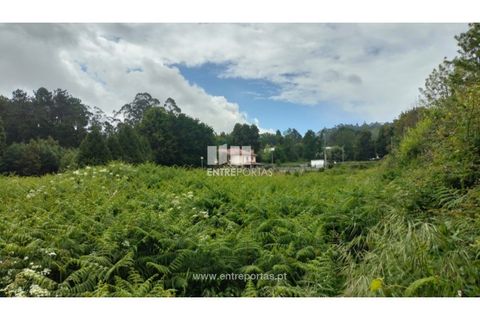 Helårsgrund i Venade e Azevedo, Viana do Castelo, Venade e Azevedo - € 38.000 | Ref: C02782 - foto 7