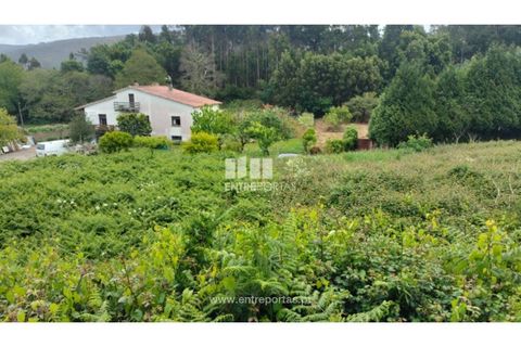 Helårsgrund i Venade e Azevedo, Viana do Castelo, Venade e Azevedo - € 38.000 | Ref: C02782 - foto 8