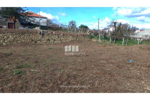 Helårsgrund i Venade e Azevedo, Viana do Castelo, Venade e Azevedo - € 38.000 | Ref: C02782 - foto 9