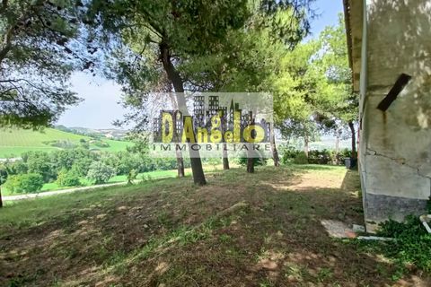 Landejendom i Offida, Ascoli Piceno, Offida - € 110.000 | Ref: 2 - foto 4