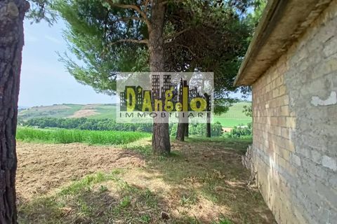 Landejendom i Offida, Ascoli Piceno, Offida - € 110.000 | Ref: 2 - foto 7