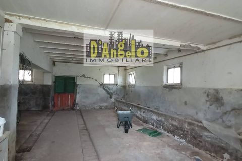 Landejendom i Offida, Ascoli Piceno, Offida - € 110.000 | Ref: 2 - foto 24