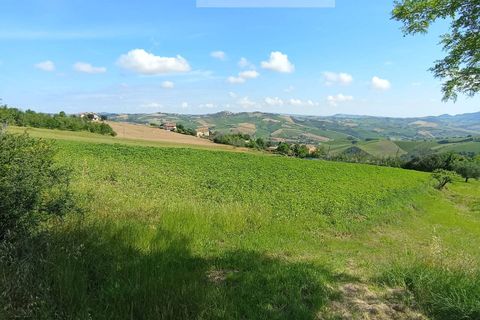 Helårsgrund i Offida, Ascoli Piceno, Offida - € 35.000 | Ref: 17 - foto 3