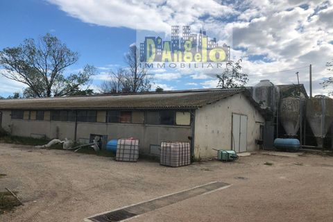 Villa a Offida, Ascoli Piceno, Offida - € 250.000 | Ref: 22 - foto 5