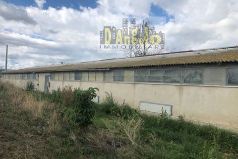 Villa a Offida, Ascoli Piceno, Offida - € 250.000 | Ref: 22 - foto 6