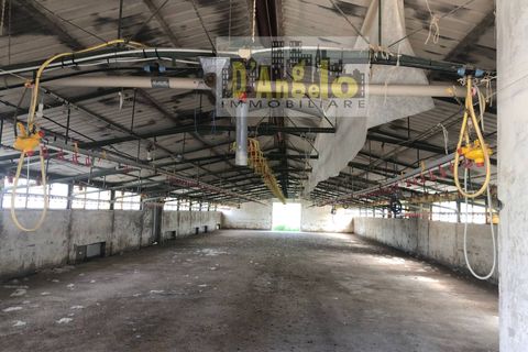 Villa a Offida, Ascoli Piceno, Offida - € 250.000 | Ref: 22 - foto 8