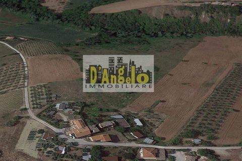 Terra em Offida, Ascoli Piceno, Offida - € 100.000 | Ref: 29 - foto 2
