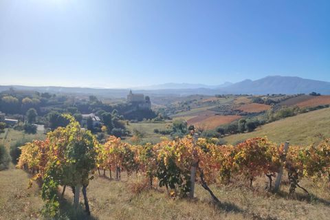 Landejendom i Offida, Ascoli Piceno, Offida - € 430.000 | Ref: 76 - foto 9