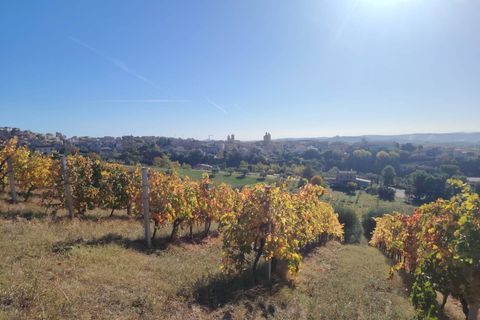 Landejendom i Offida, Ascoli Piceno, Offida - € 430.000 | Ref: 76 - foto 1