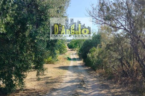 Landejendom i Offida, Ascoli Piceno, Offida - € 430.000 | Ref: 76 - foto 2