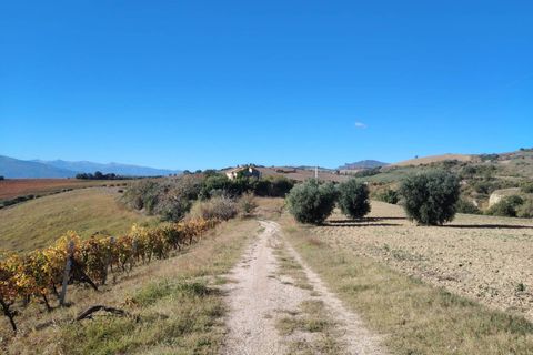 Landejendom i Offida, Ascoli Piceno, Offida - € 430.000 | Ref: 76 - foto 6