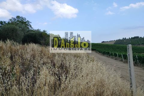Villa i Offida, Ascoli Piceno, Offida - € 142.000 | Ref: 77 - foto 24