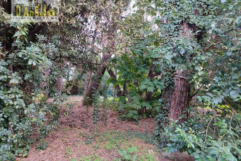 Villa i Offida, Ascoli Piceno, Offida - € 240.000 | Ref: 99 - foto 44