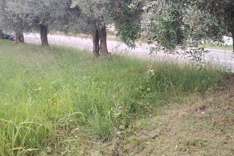 Landejendom i Offida, Ascoli Piceno, Offida - € 135.000 | Ref: 107 - foto 3