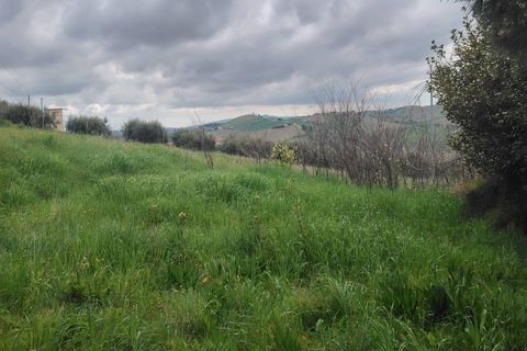 Landejendom i Offida, Ascoli Piceno, Offida - € 135.000 | Ref: 107 - foto 8