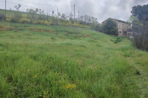 Landejendom i Offida, Ascoli Piceno, Offida - € 135.000 | Ref: 107 - foto 9