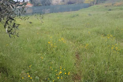Landejendom i Offida, Ascoli Piceno, Offida - € 135.000 | Ref: 107 - foto 10