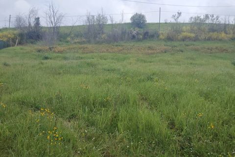 Landejendom i Offida, Ascoli Piceno, Offida - € 135.000 | Ref: 107 - foto 11