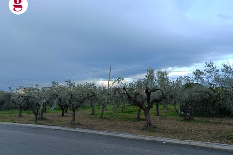 Helårsgrund i Vasto, Chieti, Vasto - € 99.000 | Ref: IM202260 - foto 3