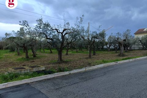 Helårsgrund i Vasto, Chieti, Vasto - € 99.000 | Ref: IM202260 - foto 4