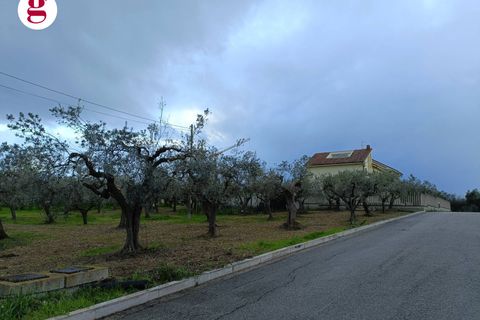 Helårsgrund i Vasto, Chieti, Vasto - € 99.000 | Ref: IM202260 - foto 5