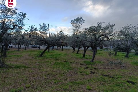Helårsgrund i Vasto, Chieti, Vasto - € 99.000 | Ref: IM202260 - foto 6