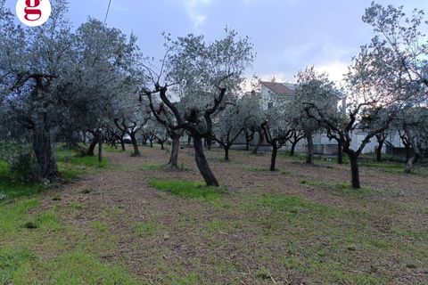 Helårsgrund i Vasto, Chieti, Vasto - € 99.000 | Ref: IM202260 - foto 7