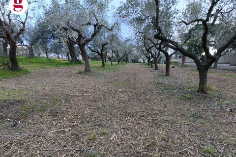 Helårsgrund i Vasto, Chieti, Vasto - € 99.000 | Ref: IM202260 - foto 8