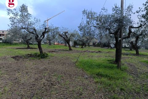 Helårsgrund i Vasto, Chieti, Vasto - € 99.000 | Ref: IM202260 - foto 9