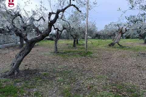 Helårsgrund i Vasto, Chieti, Vasto - € 99.000 | Ref: IM202260 - foto 10
