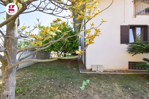 Villa i Vasto, Chieti, Vasto - € 335.000 | Ref: IM202434 - foto 4