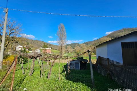 Byhus i Gubbio, Perugia, Gubbio - € 65.000 | Ref: PG1824 - foto 32