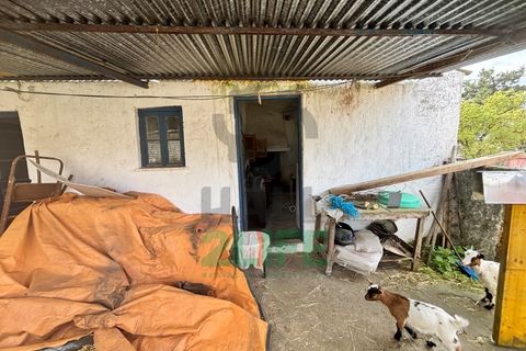 Villa i Leiria, Leiria, Leiria - € 85.000 | Ref: 2025_22 - foto 3