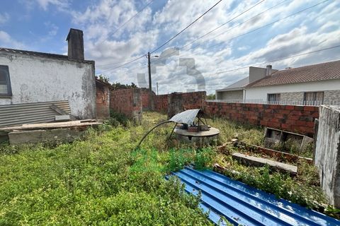 Villa i Leiria, Leiria, Leiria - € 85.000 | Ref: 2025_22 - foto 15