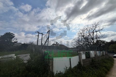 Villa i Leiria, Leiria, Leiria - € 85.000 | Ref: 2025_22 - foto 20