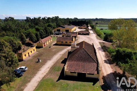 Byhus i Ilhavo, Aveiro, Ilhavo - € 25.000.000 | Ref: 81428 - foto 2