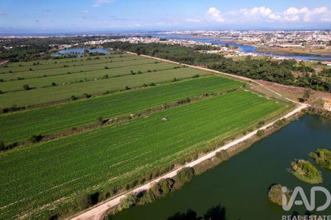Byhus i Ilhavo, Aveiro, Ilhavo - € 25.000.000 | Ref: 81428 - foto 3