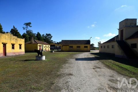 Byhus i Ilhavo, Aveiro, Ilhavo - € 25.000.000 | Ref: 81428 - foto 6