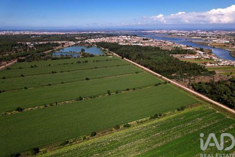 Byhus i Ilhavo, Aveiro, Ilhavo - € 25.000.000 | Ref: 81428 - foto 8