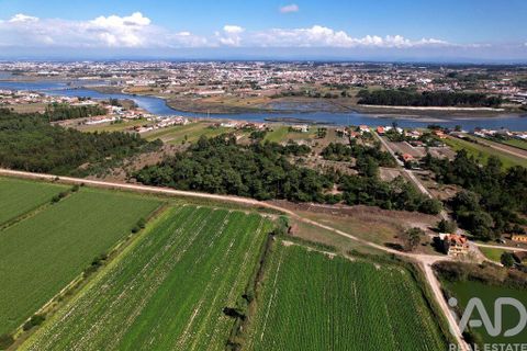 Byhus i Ilhavo, Aveiro, Ilhavo - € 25.000.000 | Ref: 81428 - foto 9