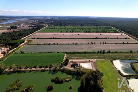 Byhus i Ilhavo, Aveiro, Ilhavo - € 25.000.000 | Ref: 81428 - foto 10