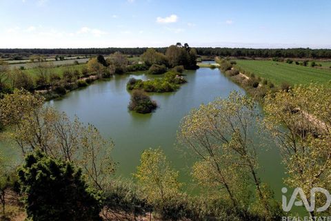 Byhus i Ilhavo, Aveiro, Ilhavo - € 25.000.000 | Ref: 81428 - foto 11