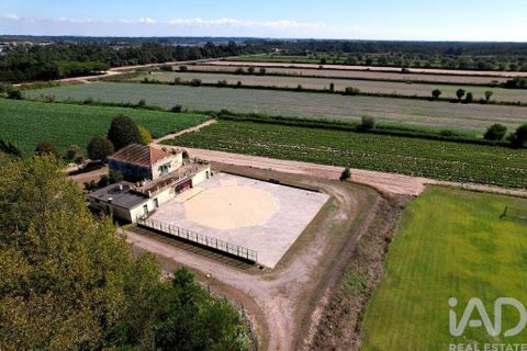 Byhus i Ilhavo, Aveiro, Ilhavo - € 25.000.000 | Ref: 81428 - foto 12