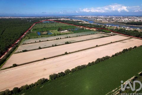 Byhus i Ilhavo, Aveiro, Ilhavo - € 25.000.000 | Ref: 81428 - foto 14