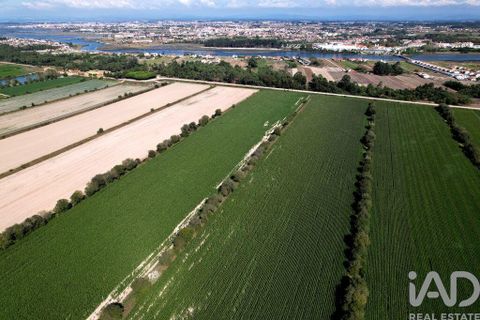 Byhus i Ilhavo, Aveiro, Ilhavo - € 25.000.000 | Ref: 81428 - foto 15