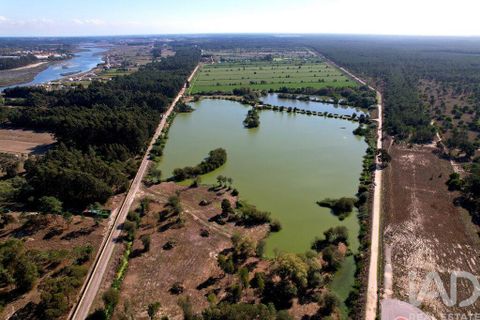 Byhus i Ilhavo, Aveiro, Ilhavo - € 25.000.000 | Ref: 81428 - foto 18