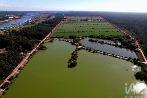 Byhus i Ilhavo, Aveiro, Ilhavo - € 25.000.000 | Ref: 81428 - foto 19